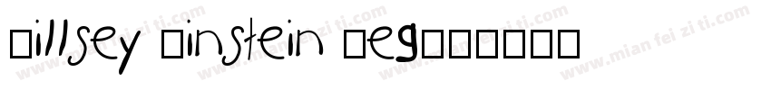 Qillsey Einstein Reg字体转换